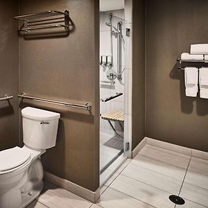 Hearing Accessible-Deluxe King Roll Shower